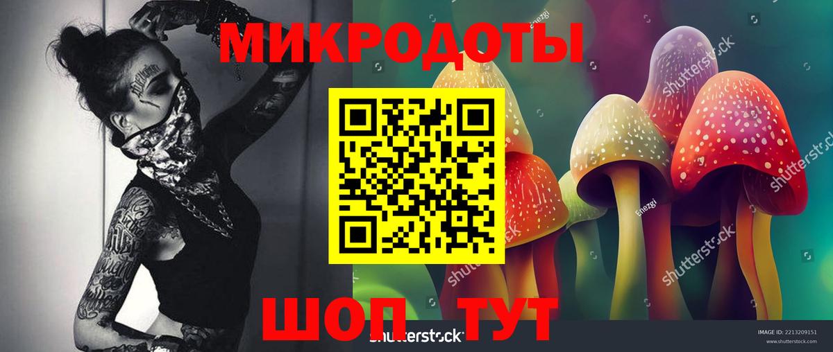 Псилоцибиновые грибы Psilocybine cubensis Лесозаводск